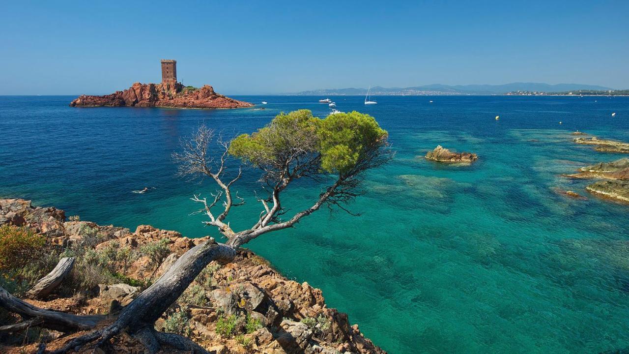 Appartement Zen A Frejus Avec Jardin, Piscine, Tennis, Proche Mer Eksteriør bilde